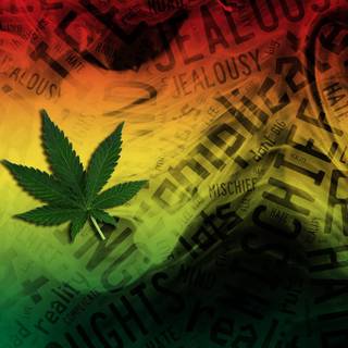 Weed iPhone 4k wallpaper