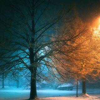 Winter night iPhone wallpaper