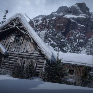 Winter red wallpaper