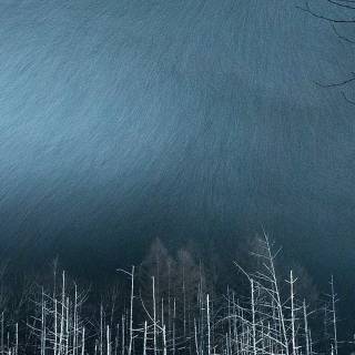 Winter night iPhone wallpaper