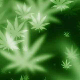 Weed iPhone 4k wallpaper