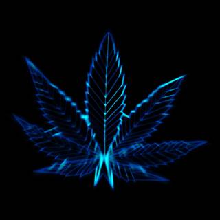 Weed leaves wallpaper