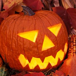 Cozy Halloween PC wallpaper