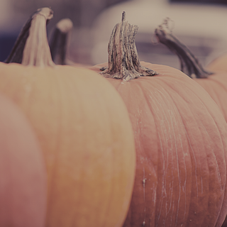 Cozy Halloween PC wallpaper