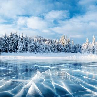 Ukraine winter wallpaper