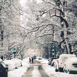 Winter Chicago wallpaper