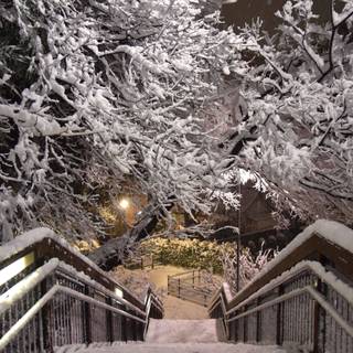 Winter Tokyo wallpaper