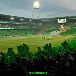 Weserstadion wallpaper