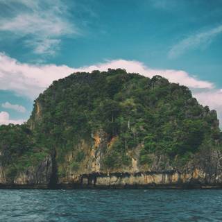 Turtle island wallpaper