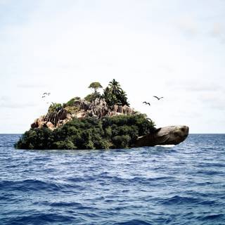 Turtle island wallpaper