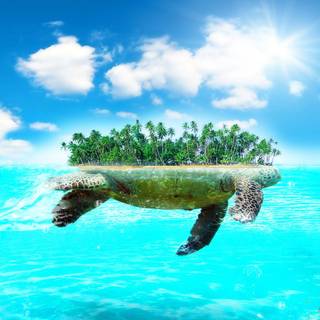 Turtle island wallpaper