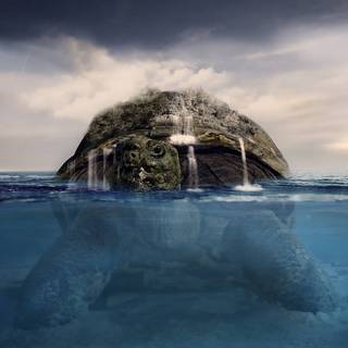 Turtle island wallpaper