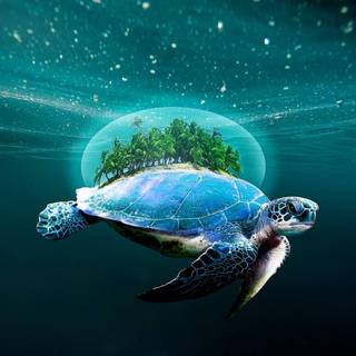 Turtle island wallpaper