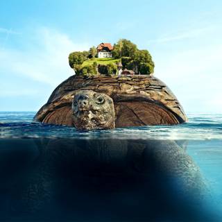 Turtle island wallpaper