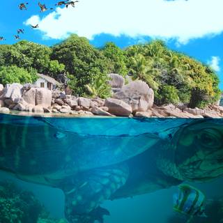 Turtle island wallpaper