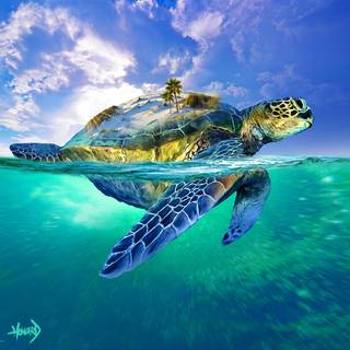 Turtle island wallpaper