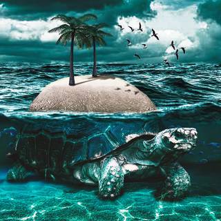 Turtle island wallpaper
