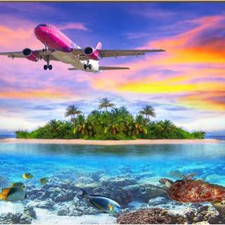 Turtle island wallpaper