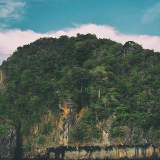 Turtle island wallpaper