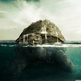 Turtle island wallpaper