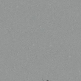 Gojo and Geto iPhone wallpaper