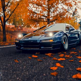 Autumn sports cars wallpaper