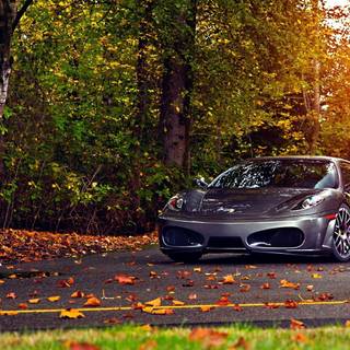 Autumn sports cars wallpaper