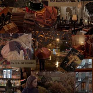 Rainy autumn aesthetic wallpaper