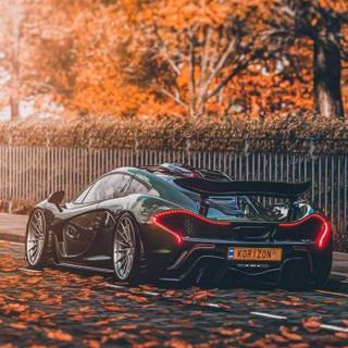 Autumn sports cars wallpaper