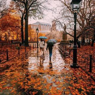 Rainy autumn aesthetic wallpaper