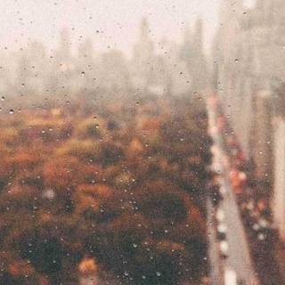 Rainy autumn aesthetic wallpaper