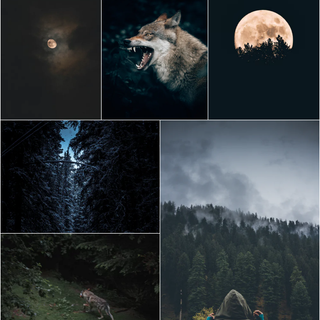 Halloween moodboard wallpaper