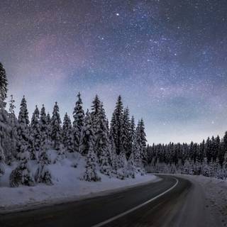 Winter 1366x768 wallpaper