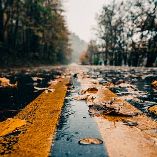 Rainy autumn aesthetic wallpaper