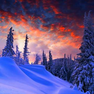 Winter 1366x768 wallpaper