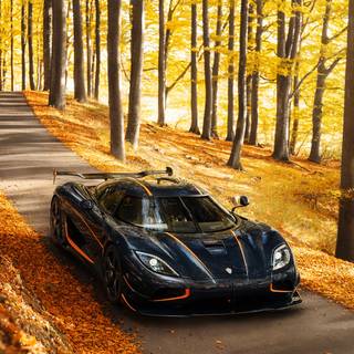 Autumn sports cars wallpaper
