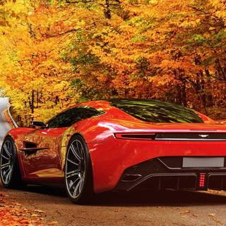 Autumn sports cars wallpaper