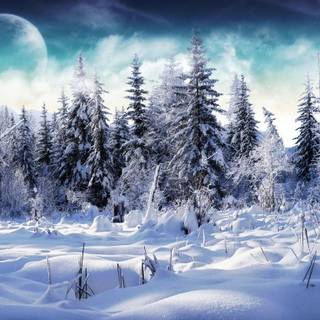 Winter 1366x768 wallpaper