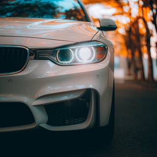 Autumn sports cars wallpaper