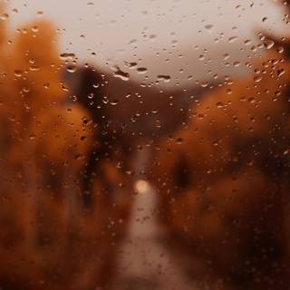 Rainy autumn aesthetic wallpaper