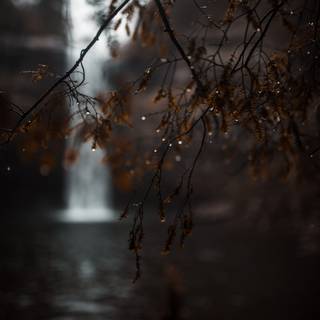 Rainy autumn aesthetic wallpaper