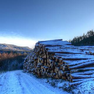 Winter 1366x768 wallpaper