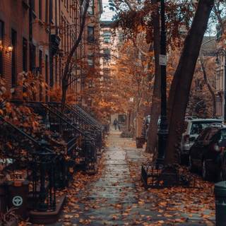 Rainy autumn aesthetic wallpaper