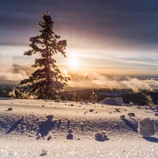 Winter 1366x768 wallpaper