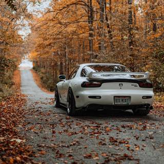Autumn sports cars wallpaper