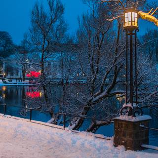 Winter 1366x768 wallpaper