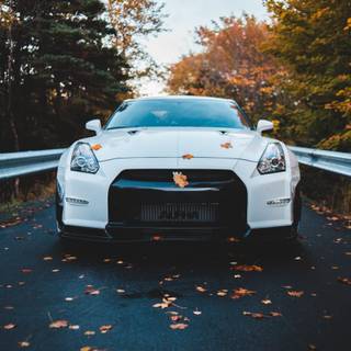 Autumn sports cars wallpaper