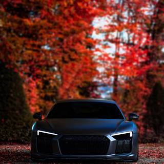 Autumn sports cars wallpaper