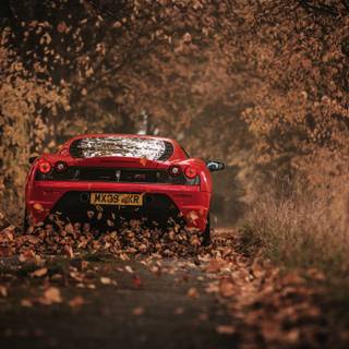 Autumn sports cars wallpaper