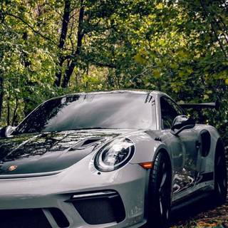 Autumn sports cars wallpaper